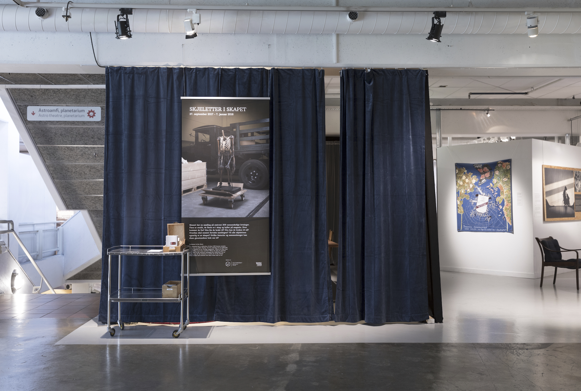 Skjeletter utstilling 4